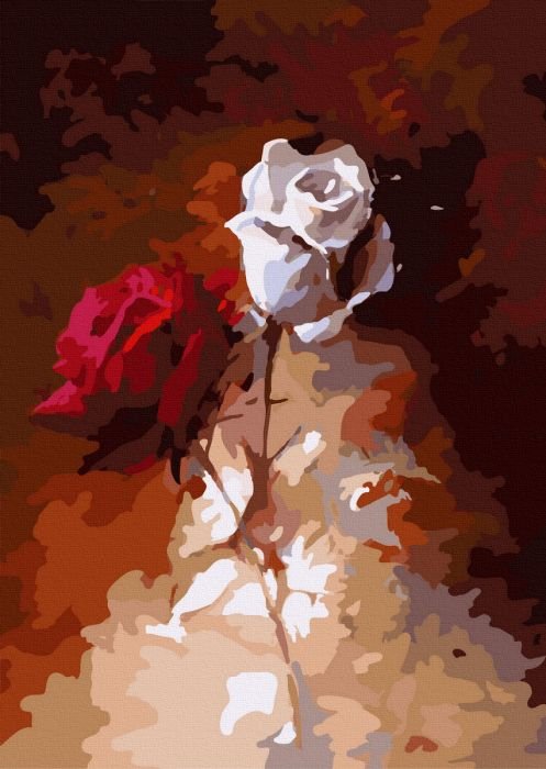 Pictura pe numere – Trandafir alb, 40x50cm