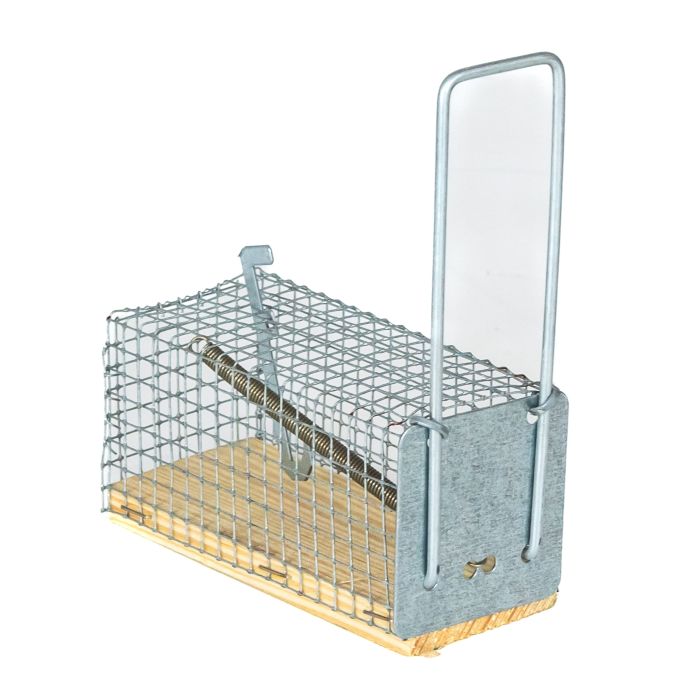 Capcana pentru soricei 12x5x5cm