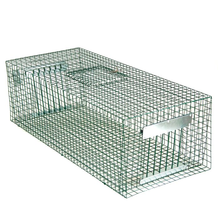 Capcana pentru porumbei si grauri 100x40x30cm